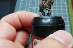Olivier - Light Horse Numide