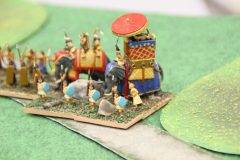 Le général en chef des Indiens Classiques sur son éléphant de guerre Elite.
